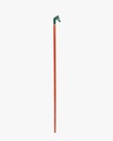 Horsehead walking stick CAN1050