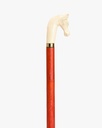 Horsehead walking stick CAN1052