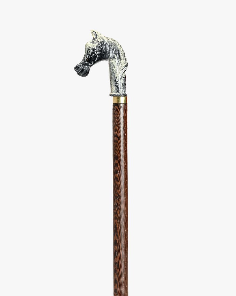 Horsehead walking stick CAN1048