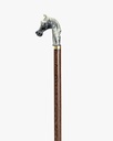 Horsehead walking stick CAN1048