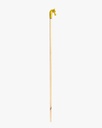 Almond wood walking stick CAN1071