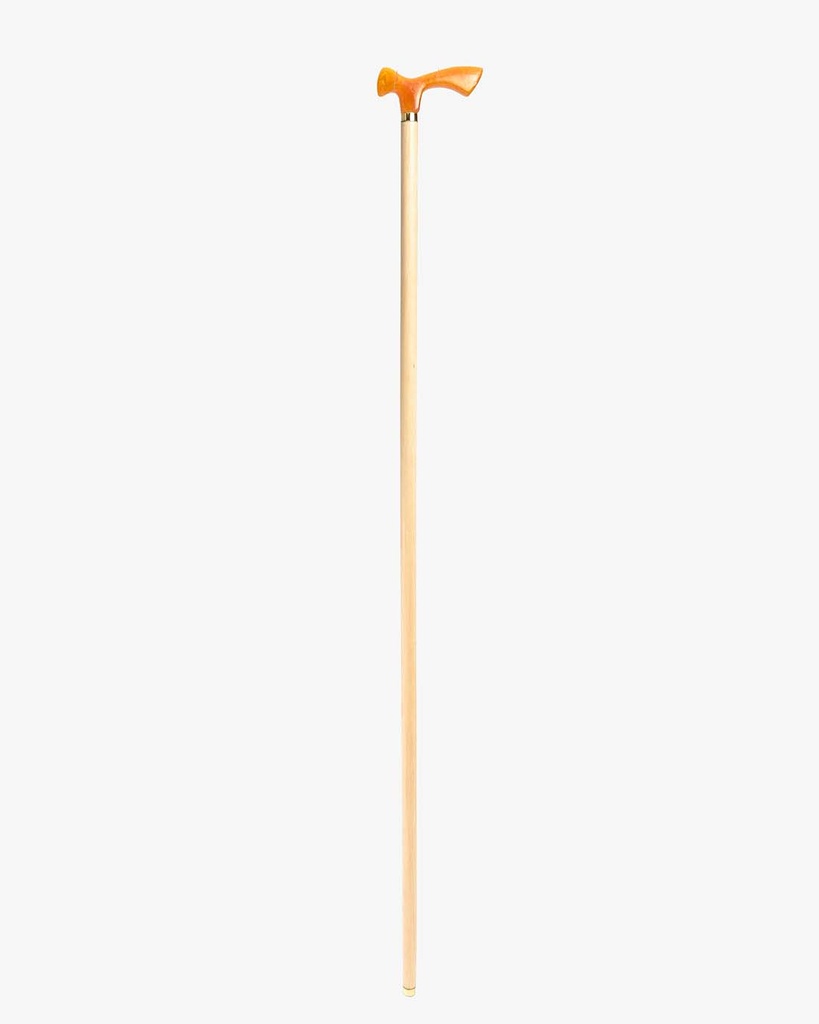 Almond wood walking stick CAN1072