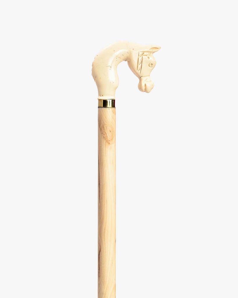 Almond wood walking stick CAN1073