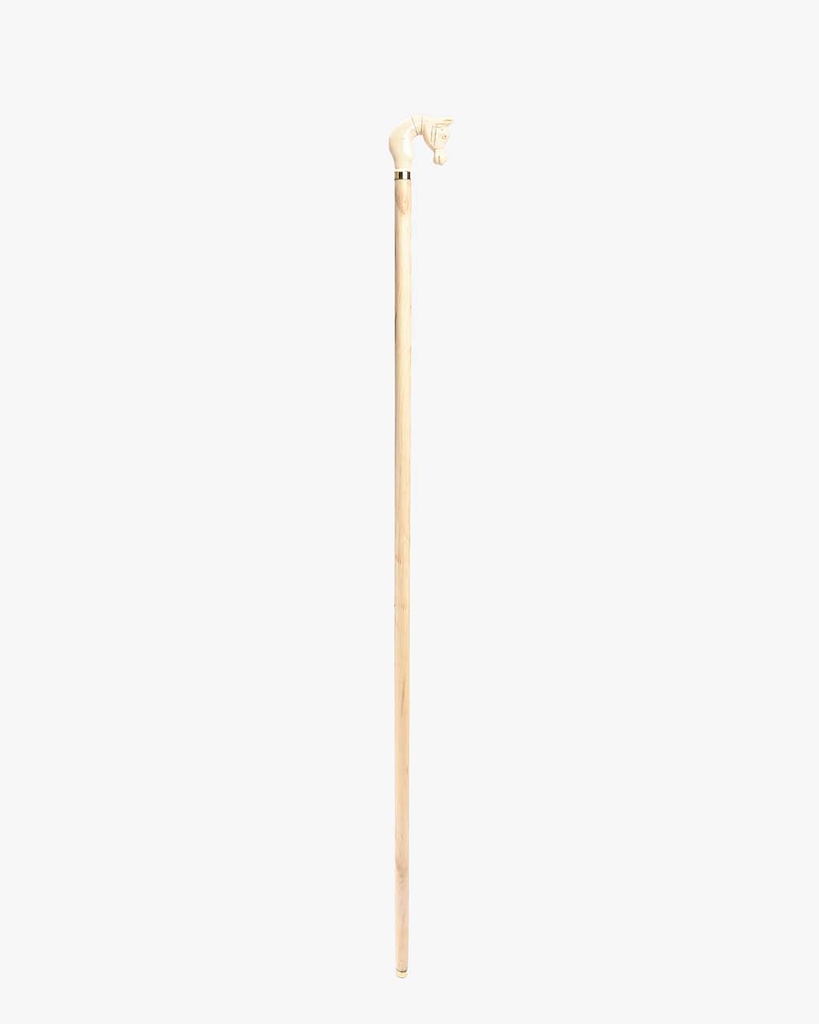 Almond wood walking stick CAN1073
