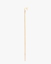 Almond wood walking stick CAN1073