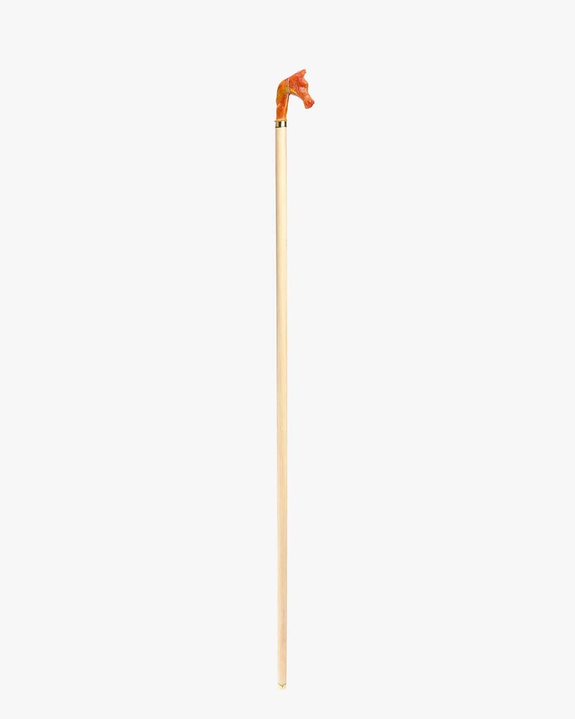 Almond wood walking stick CAN1074