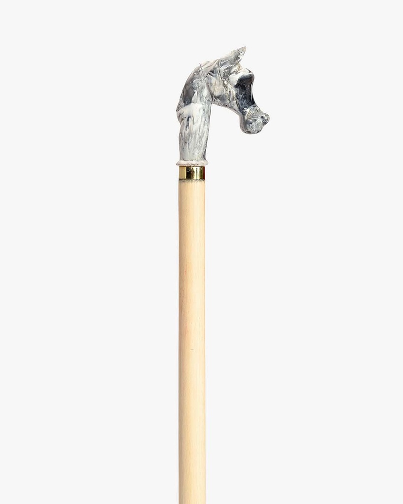 Almond wood walking stick CAN1076