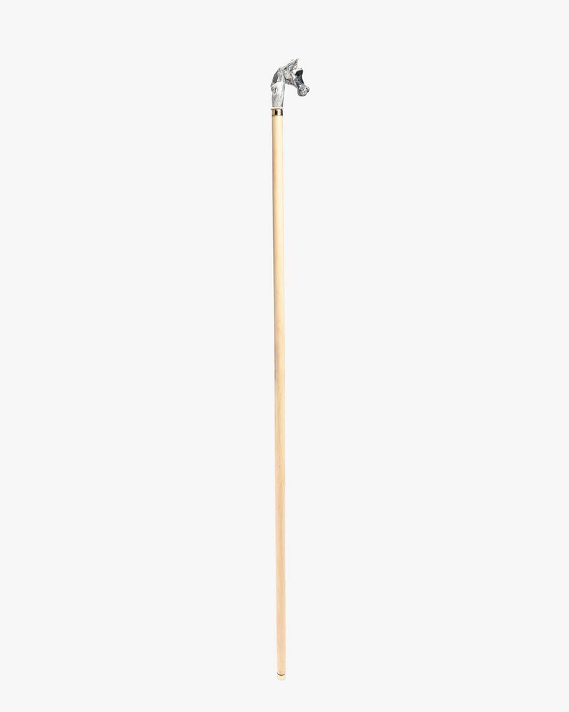 Almond wood walking stick CAN1076