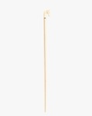 Almond wood walking stick CAN1077