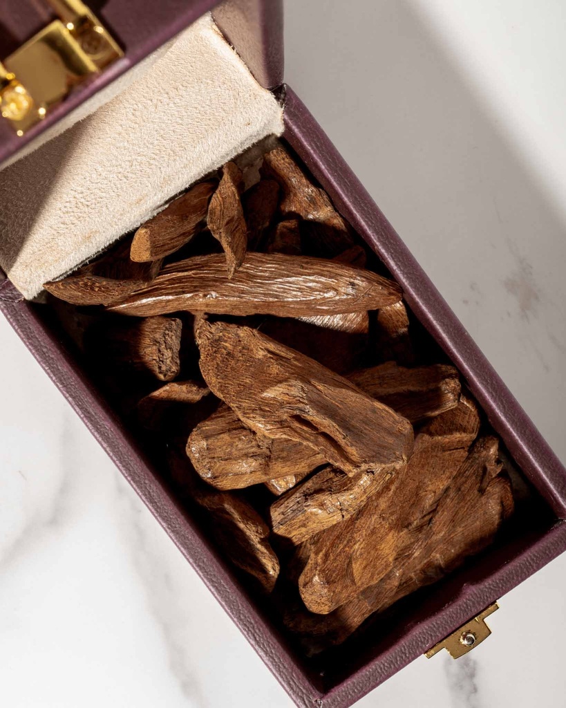 عود مروكي محسن فاخر