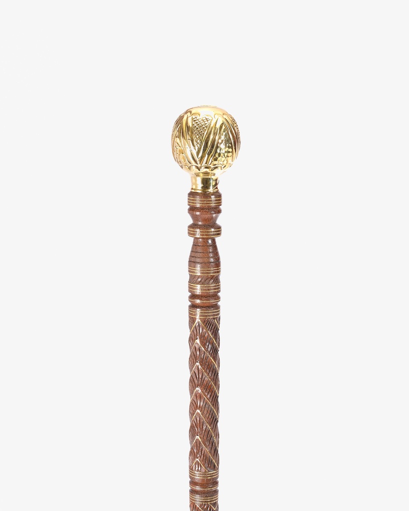 Iron cane stick CAN915
