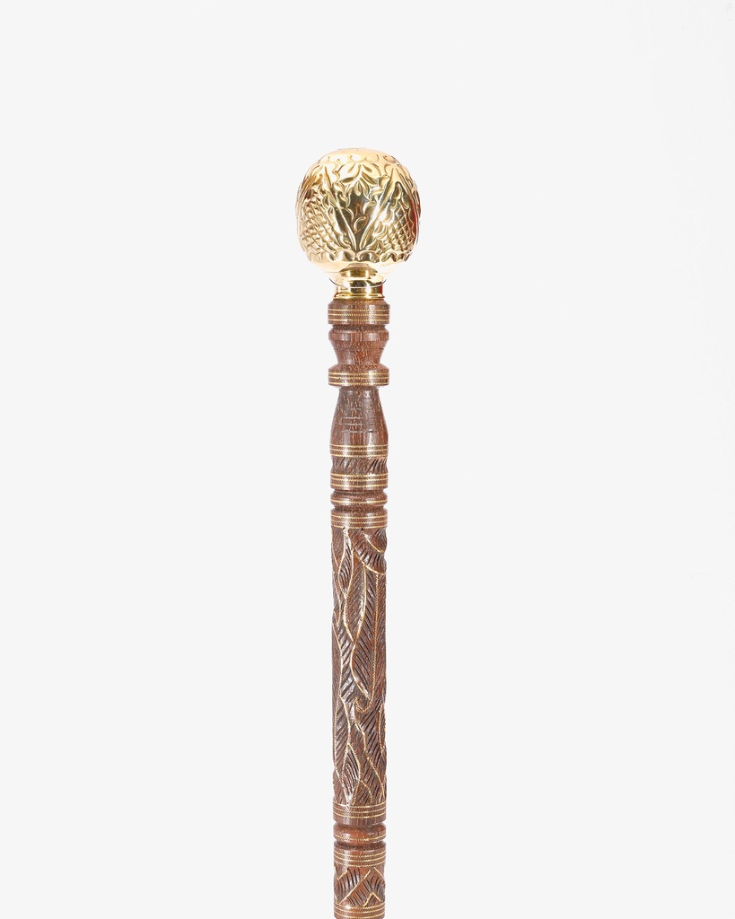 Iron cane stick CAN916