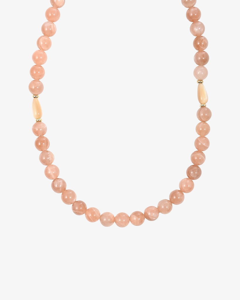 Sandstone and shell WNEC311PK